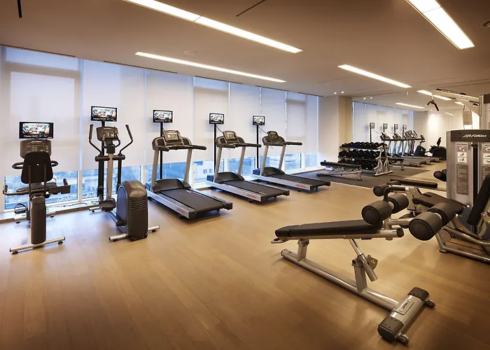 Hotel Shilla Gangnam Yeoksam 4*